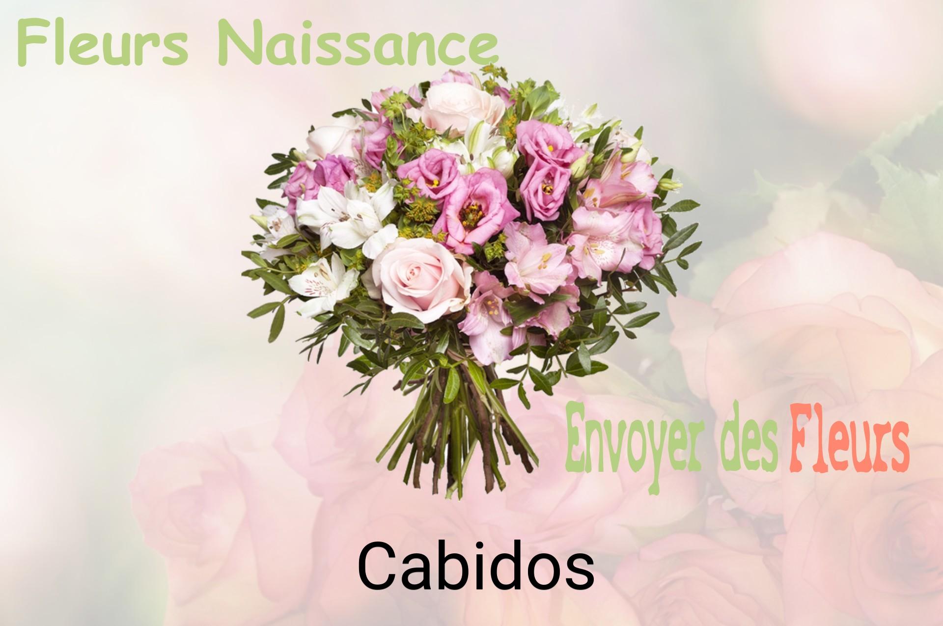 Bouquet de fleurs de naissance livré à Cabidos